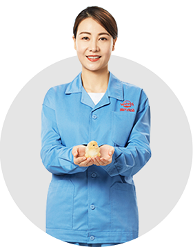必赢亚洲·bwin(中国区)官方网站